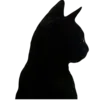 🐈‍⬛