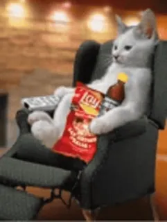 🎬 gatto, sedia, patatine, soda, rilassante, divertente telegram sticker