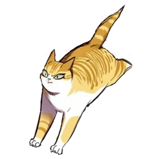👣 kucing, binatang, oranye, lucu, stiker, kartun telegram sticker