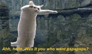 🥺 Ahh, hello. Was it you who went pspspsps? gato, meme, engraçado, pspsps, animal, olá telegram sticker