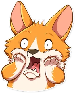 😱 corgi, perro, lindo, animal, impactado, sorprendido whatsapp sticker