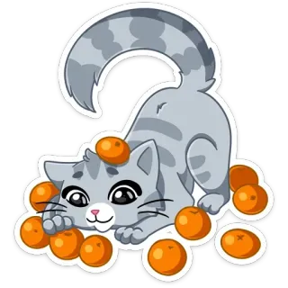 🍊 chat, chaton, oranges, fruit, joueur, mignon, sticker telegram sticker