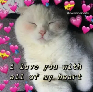 💗 i love you with all of my heart kucing, hati, cinta, imut, hewan peliharaan, anak kucing, penyayang, menggemaskan telegram sticker