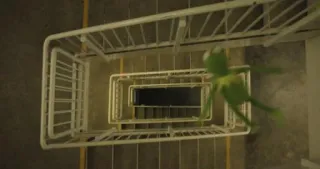 🤯 Kermit kermit the frog, stairs, fall, muppets, puppet telegram sticker
