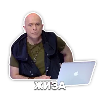 💆 ЖИЗА person, laptop, sitting, expression, bald telegram sticker