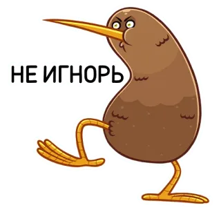 🙅‍♂️ НЕ ИГНОРЬ киви (птица), злой, мультяшный, птица, идущий, текст, русский telegram sticker