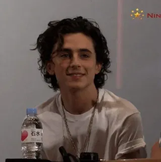 📯 Timothée Chalamet acteur, célébrité, homme, portrait, film, divertissement telegram sticker