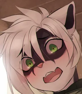 😳 Fellwesen, Katze, Tier, Panik, besorgt, schockiert, verärgert telegram sticker