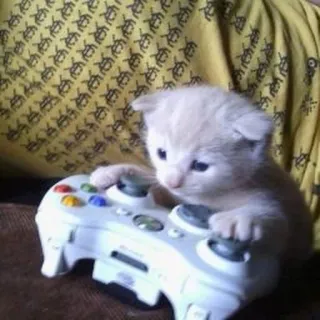 🥺 anak kucing, kucing, gaming, video game, kontroler, imut, binatang, hewan peliharaan telegram sticker