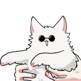 🐈 Katze, Tier, Sonnenbrille, süß, Cartoon, Haustier telegram sticker