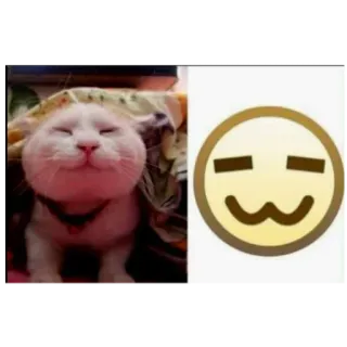 😊 猫, 可爱, 表情包, 表情符号 telegram sticker