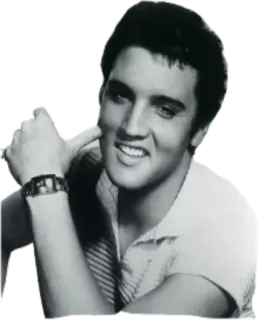 Элвис Пресли @StikerDi telegram stickers