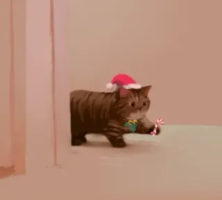 ❄ chat, Noël, bonnet de Noël, animal, canne à sucre, fête whatsapp sticker