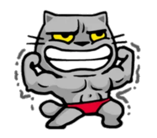 💪 Katze, Muskel, Stark, Cartoon, Sticker telegram sticker