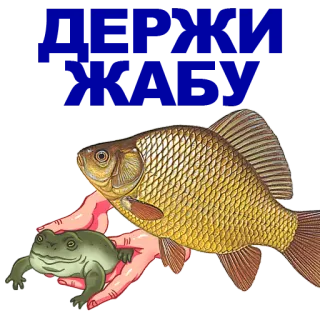 🐠 poisson, grenouille, animal, nature, faune whatsapp sticker