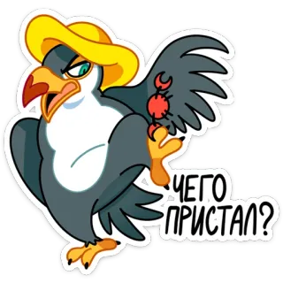 🦅 ЧЕГО ПРИСТАЛ? cartoon, bird, hat, attitude, russian, text telegram sticker