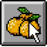 🍊