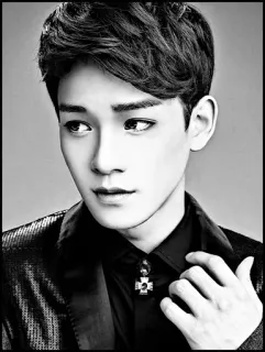 🇮🇸 uomo, ritratto, bianco e nero, kpop, cantante, moda telegram sticker
