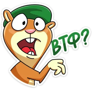 🤯 ВТФ? Cartone animato, Scoiattolo, Domanda, Divertente, Umorismo, Russo telegram sticker