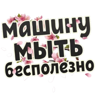 🚗 машину
мыть
бесполезно ロシア語, テキスト, 花, 洗車, 面白い, ステッカー telegram sticker