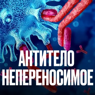 🫃 АНТИТЕЛО
НЕПЕРЕНОСИМОЕ антитело, вирус, медицина, наука, русский текст telegram sticker