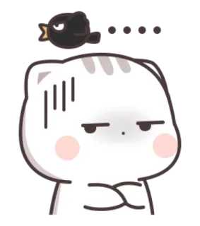 😾 gato, pájaro, enojado, dibujos animados, pegatina telegram sticker