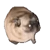 🕺