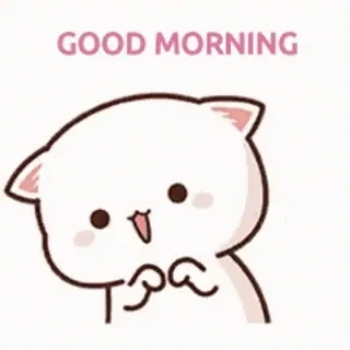 ❤️ GOOD MORNING แมว, อรุณสวัสดิ์, น่ารัก, ทักทาย, คาวาอิ, สัตว์ whatsapp sticker