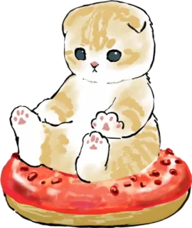 🍩 cat, kitten, donut, cute, pet, animal telegram sticker