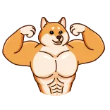 💪 doge, dog, meme, buff, muscle, animal whatsapp sticker