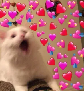 ❤️ Katze, Herzen, Liebe, süß, Tier, Emoji telegram sticker