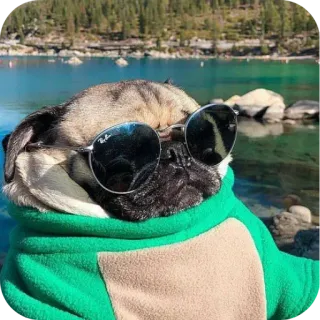🏞 Ray-Ban telegram sticker