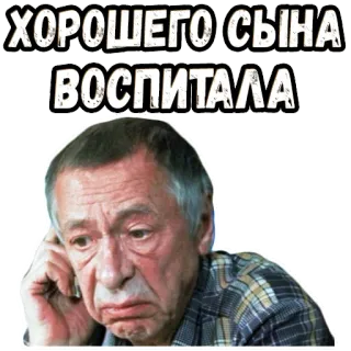 🥺 ХОРОШЕГО СЫНА ВОСПИТАЛА russo, sticker, testo, citazione, genitori telegram sticker