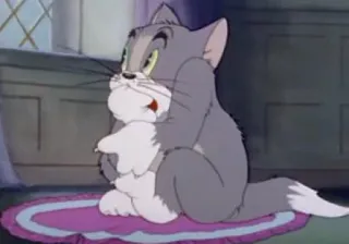😥 Tom Cat Tom and Jerry cartone animato, gatto, scioccato, gatto grigio, triste telegram sticker