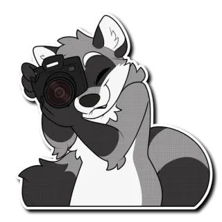 📸 енот, камера, фотография, животное, милый, наклейка whatsapp sticker