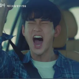 😲 매주[토,일] 밤 9시 방송 hombre, ira, molesto, conduciendo, gritando telegram sticker