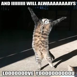 💃 AND IIIIIIII WILL ALWAAAAAAAAYS LOOOOOOOOVE YOOOOOOOOOOU kucing, meme, lucu, bernyanyi, parodi telegram sticker