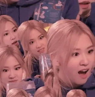 🧸 Rose kpop, роза, blackpink, смешной, мем, певец whatsapp sticker