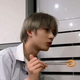 🐻 whatsapp sticker