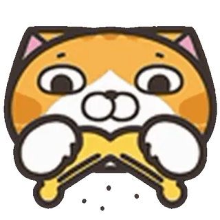 🐱