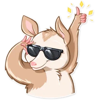 😎 Opossum, Động vật, Ngầu, Kính râm, Ngón tay cái, Hình dán telegram sticker