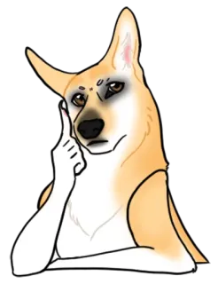 🤔 anjing, binatang, meme, jari, berpikir, lucu telegram sticker