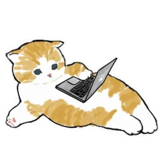 👩‍💻 gato, portátil, animal, mascota, lindo, internet, ordenador whatsapp sticker