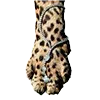 ๐