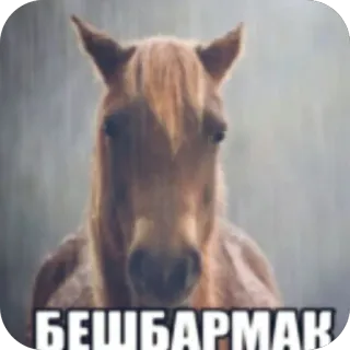 🫥 БЕШБАРМАК horse, beshbarmak, meme, animal, food, funny telegram sticker