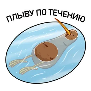 🏊‍♂️ ПЛЫВУ ПО ТЕЧЕНИЮ burung kiwi, mengambang, air, kartun, lucu telegram sticker