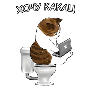 💩 ХОЧУ КАКАЦ 猫, 笔记本电脑, 厕所, 搞笑 whatsapp sticker