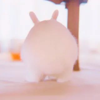 🐰 rabbit, animal, cute, bunny, pet, fluffy whatsapp sticker