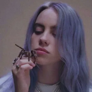 🕷 Billie Eilish Billie Eilish, singer, spider, tarantula, celebrity telegram sticker