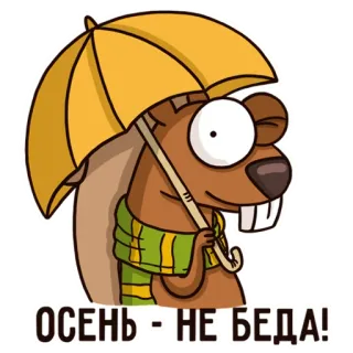 🌧 ОСЕНЬ - НЕ БЕДА! Herbst, Eichhörnchen, Regenschirm, Cartoon, Positiv, Jahreszeit, Saison telegram sticker